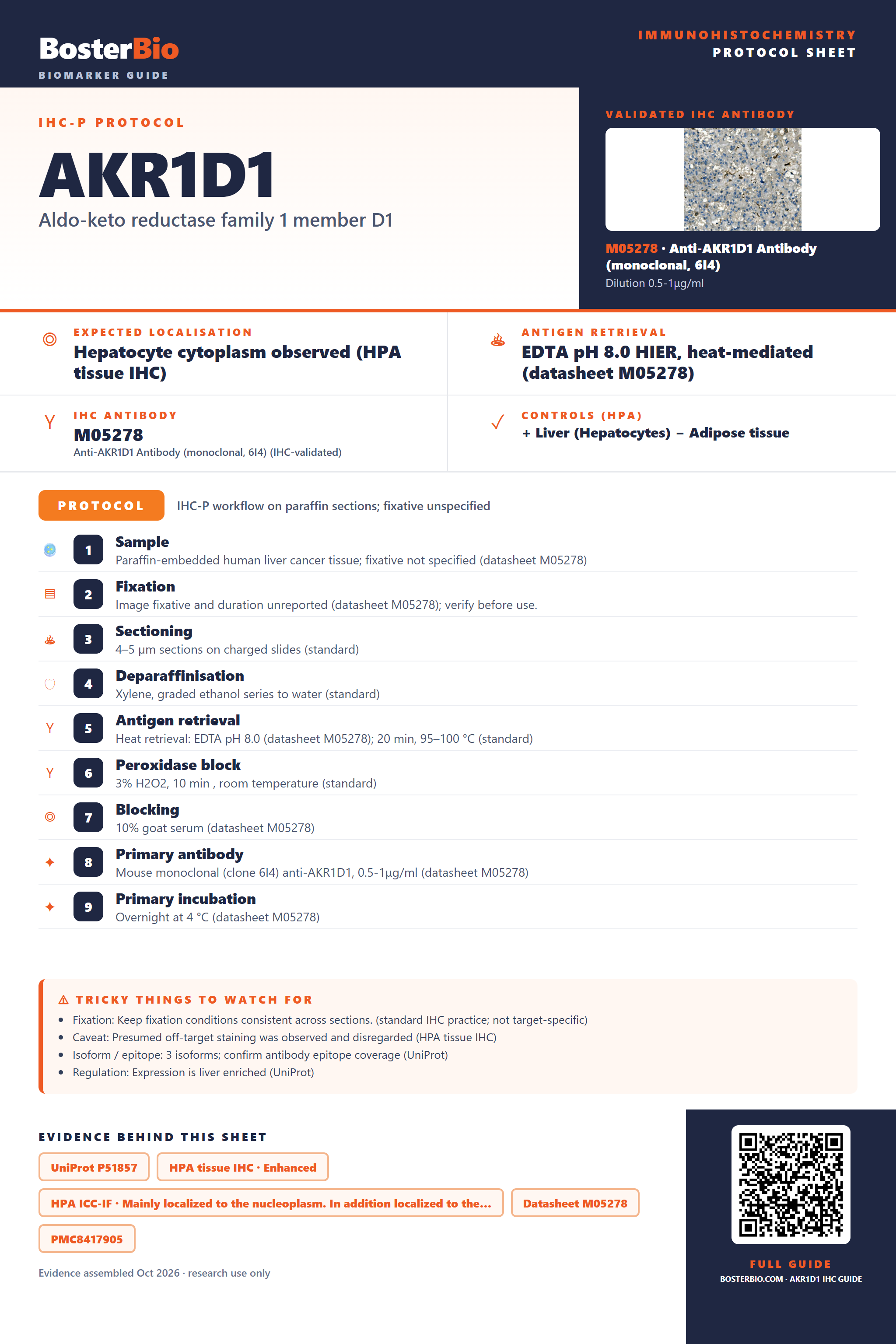 Immunohistochemistry protocol sheet for AKR1D1 (IHC for AKR1D1): expected localisation Hepatocyte cytoplasm observed (HPA tissue IHC), antibody M05278, validated IHC image, and IHC protocol steps