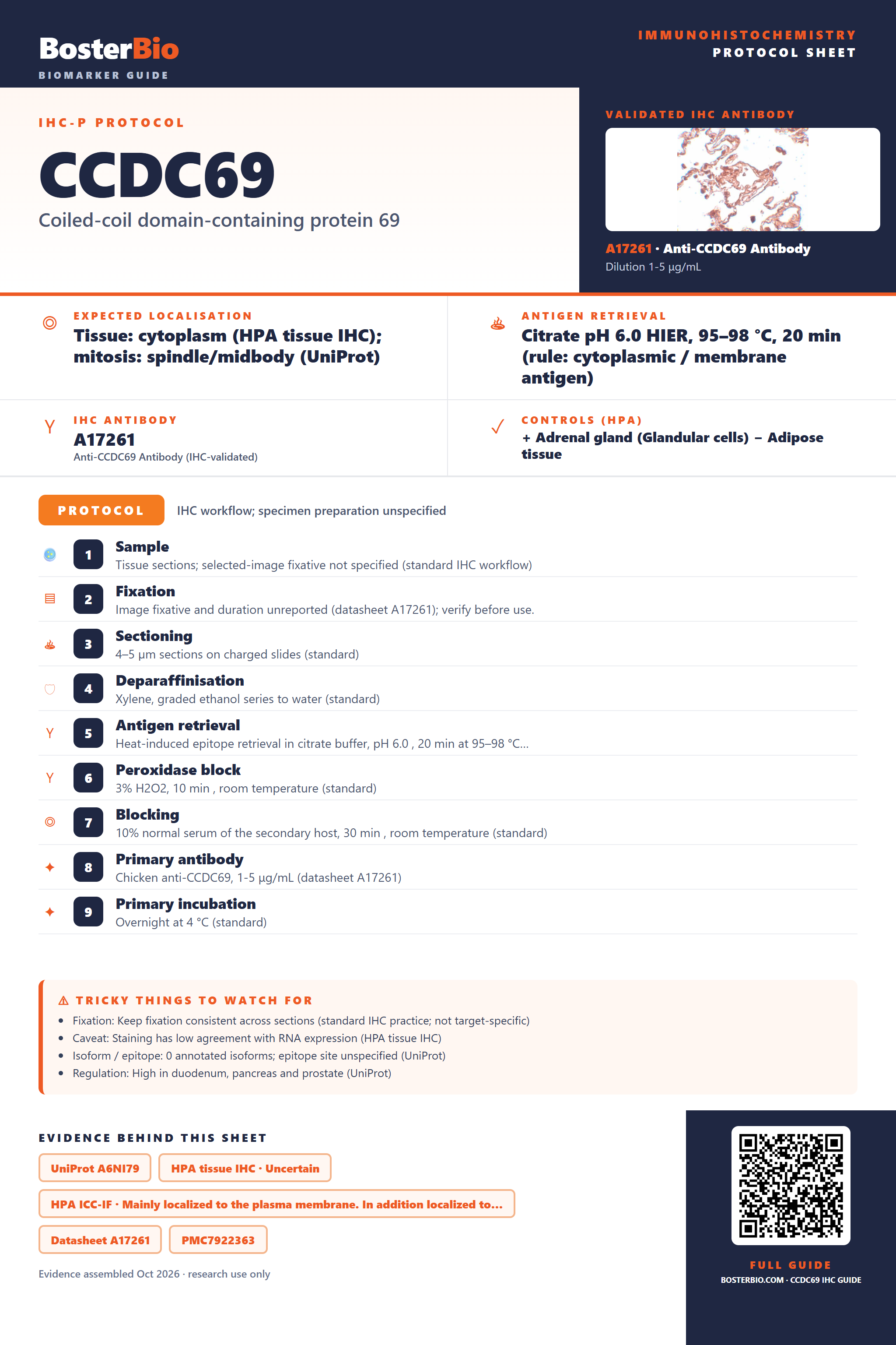 Immunohistochemistry protocol sheet for CCDC69 (IHC for CCDC69): expected localisation Tissue: cytoplasm (HPA tissue IHC); mitosis: spindle/midbody (UniProt), antibody A17261, validated IHC image, and IHC protocol steps