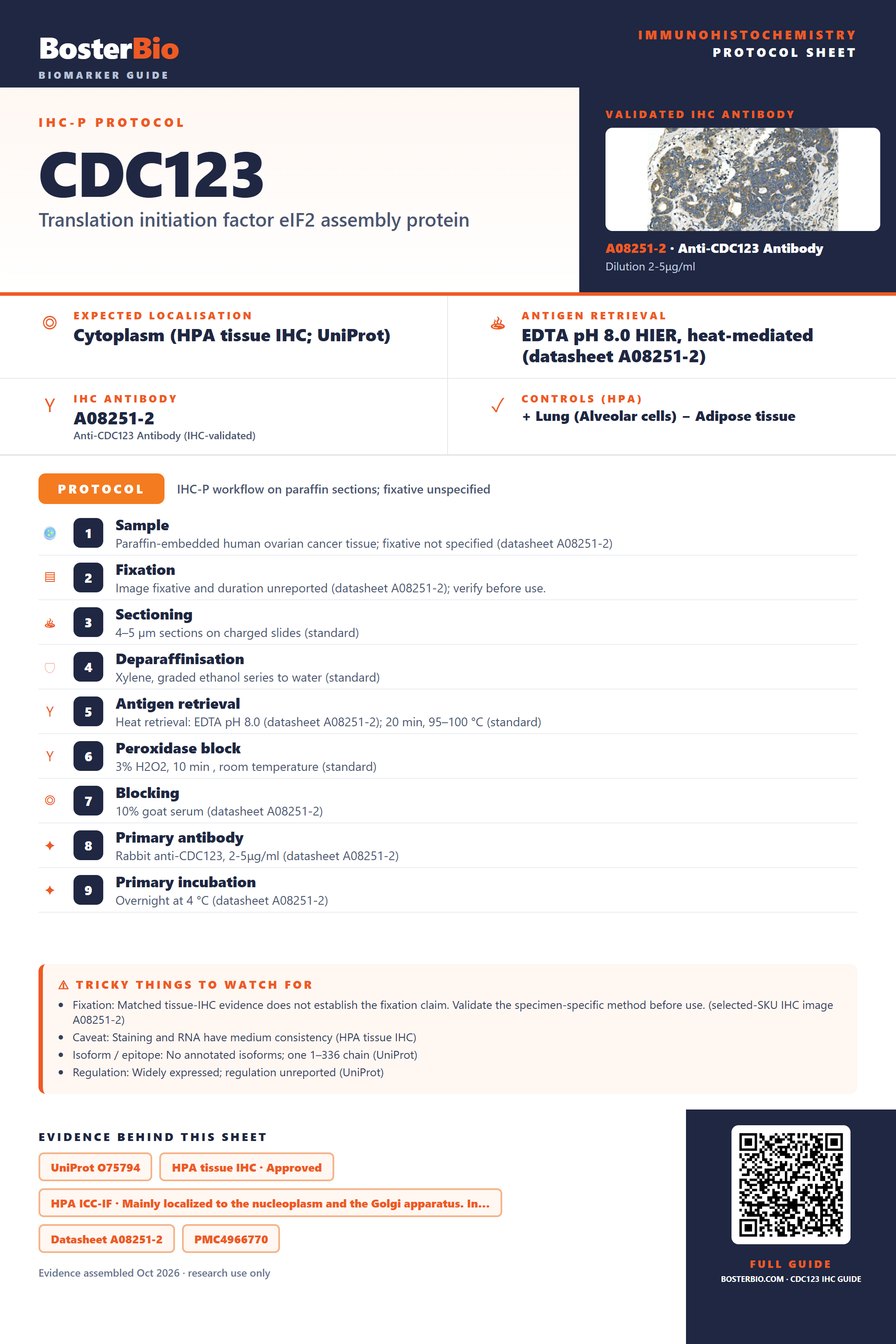Immunohistochemistry protocol sheet for CDC123 (IHC for CDC123): expected localisation Cytoplasm (HPA tissue IHC; UniProt), antibody A08251-2, validated IHC image, and IHC protocol steps