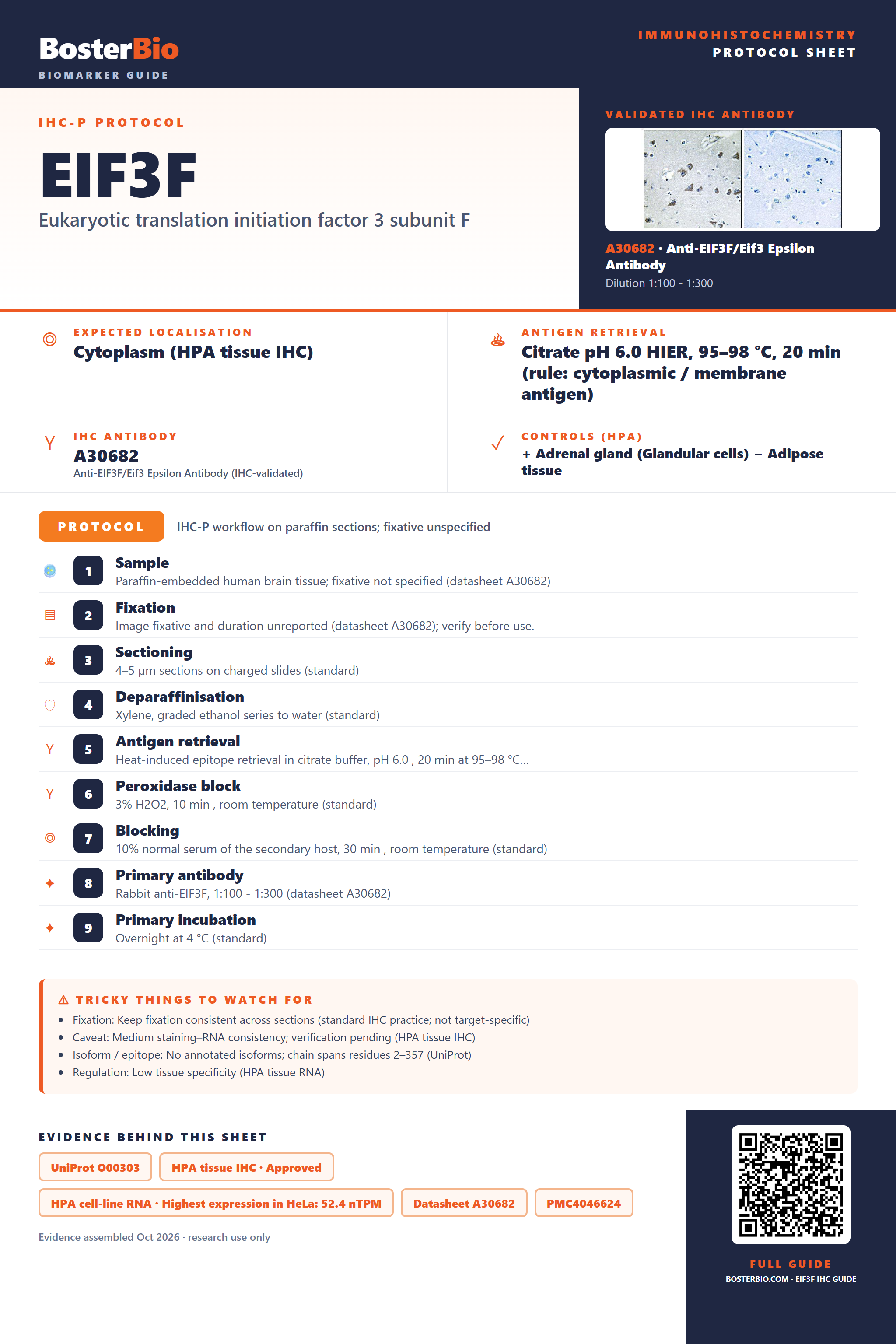 Immunohistochemistry protocol sheet for EIF3F (IHC for EIF3F): expected localisation Cytoplasm (HPA tissue IHC), antibody A30682, validated IHC image, and IHC protocol steps