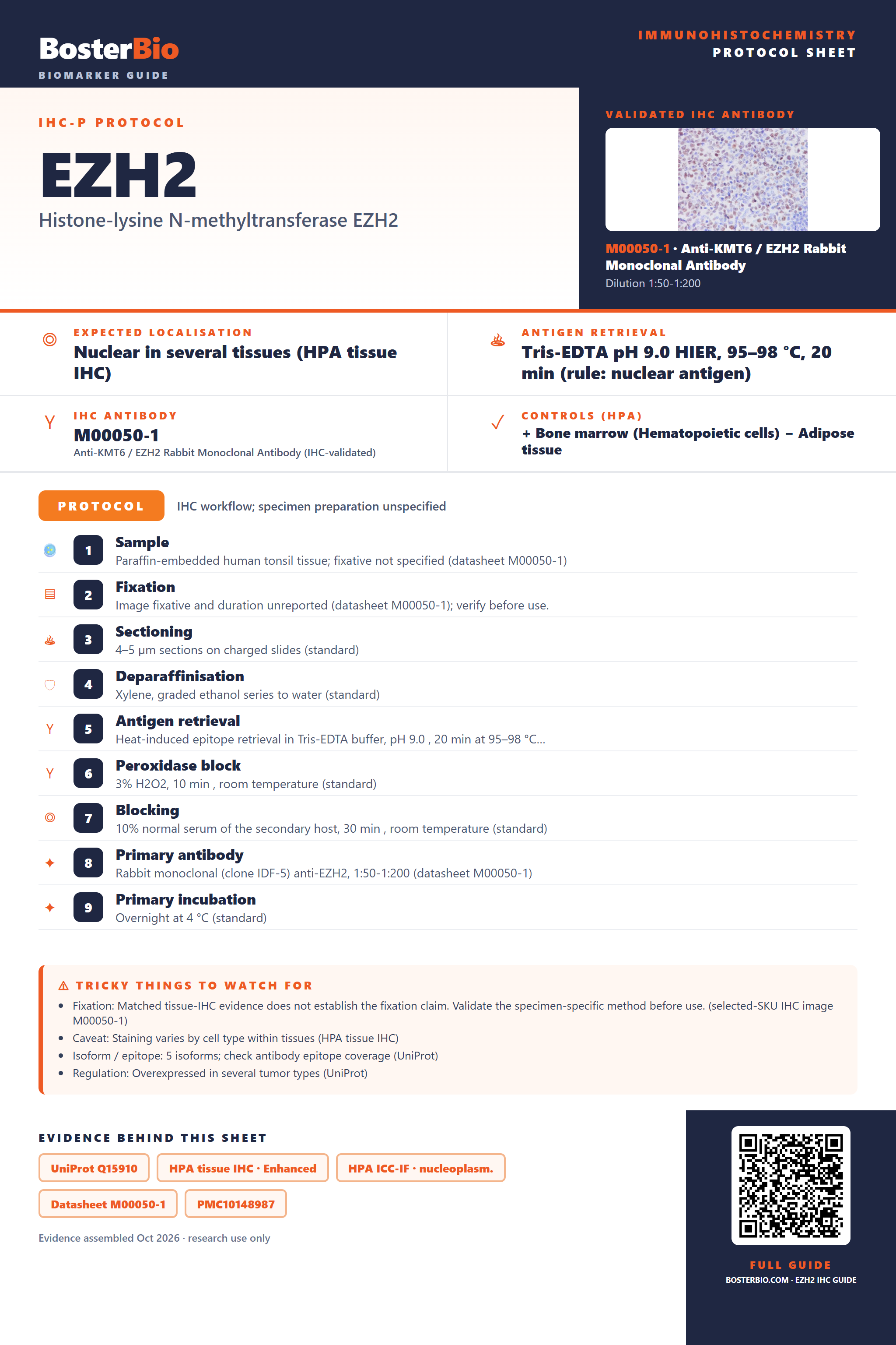 Immunohistochemistry protocol sheet for EZH2 (IHC for EZH2): expected localisation Nuclear in several tissues (HPA tissue IHC), antibody M00050-1, validated IHC image, and IHC protocol steps