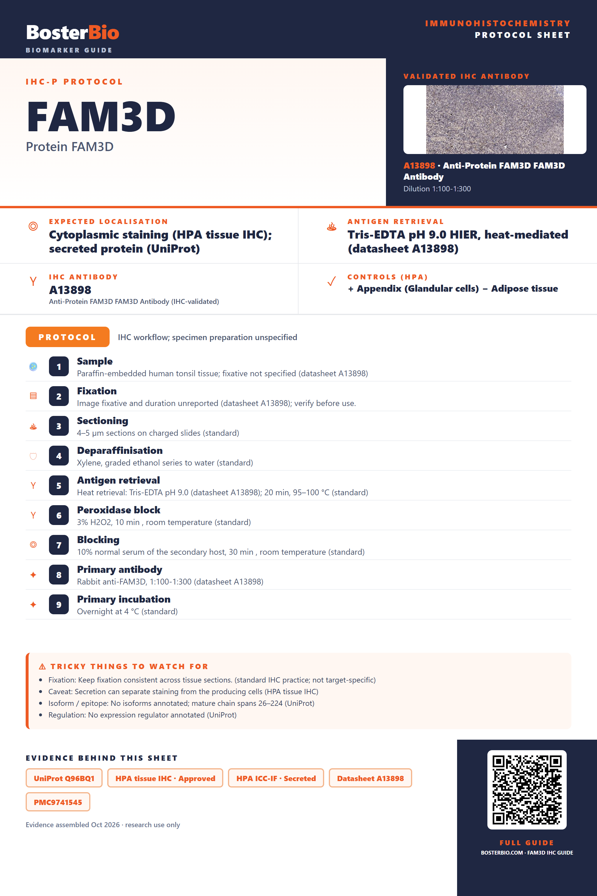 Immunohistochemistry protocol sheet for FAM3D (IHC for FAM3D): expected localisation Cytoplasmic staining (HPA tissue IHC); secreted protein (UniProt), antibody A13898, validated IHC image, and IHC protocol steps