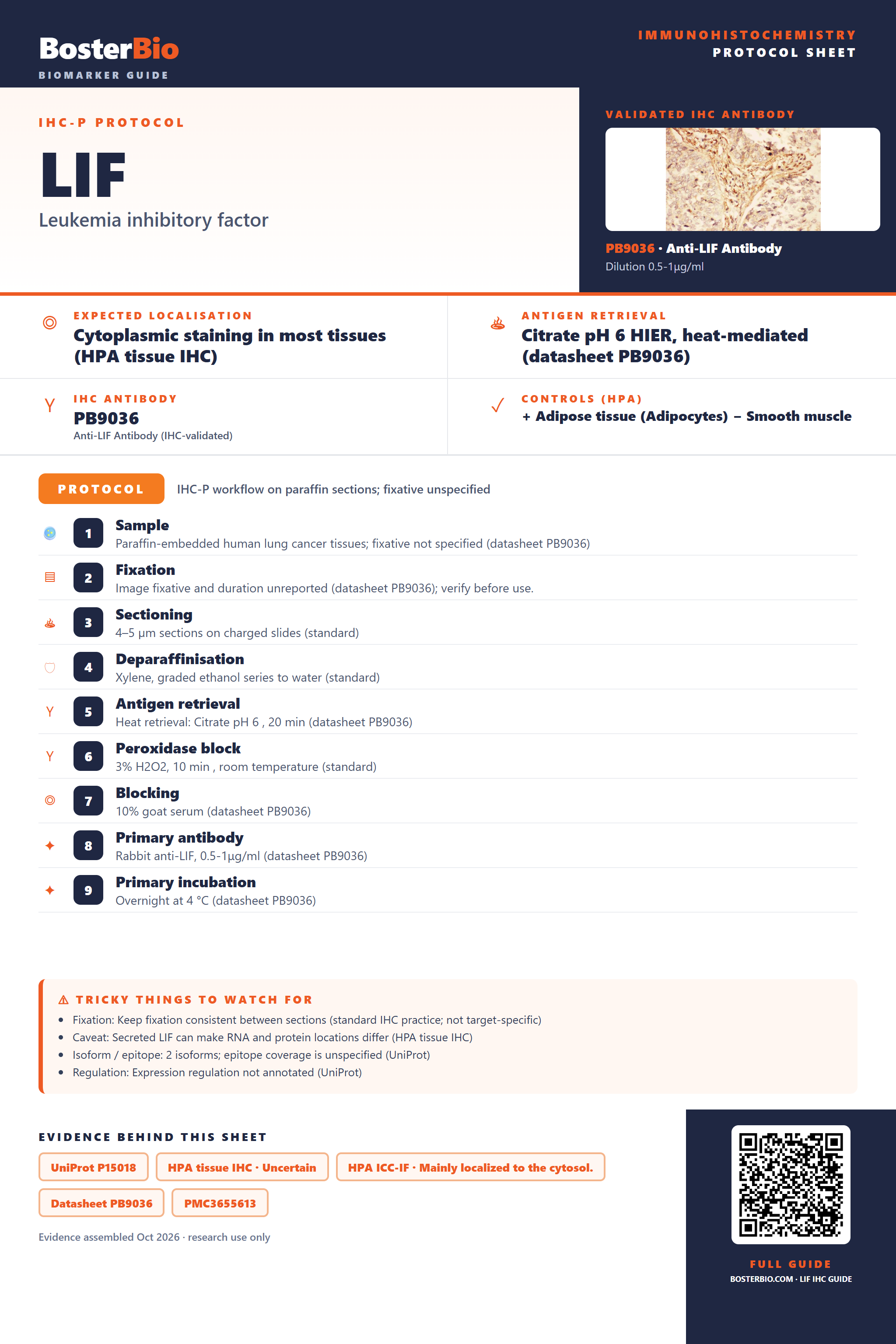 Immunohistochemistry protocol sheet for LIF (IHC for LIF): expected localisation Cytoplasmic staining in most tissues (HPA tissue IHC), antibody PB9036, validated IHC image, and IHC protocol steps