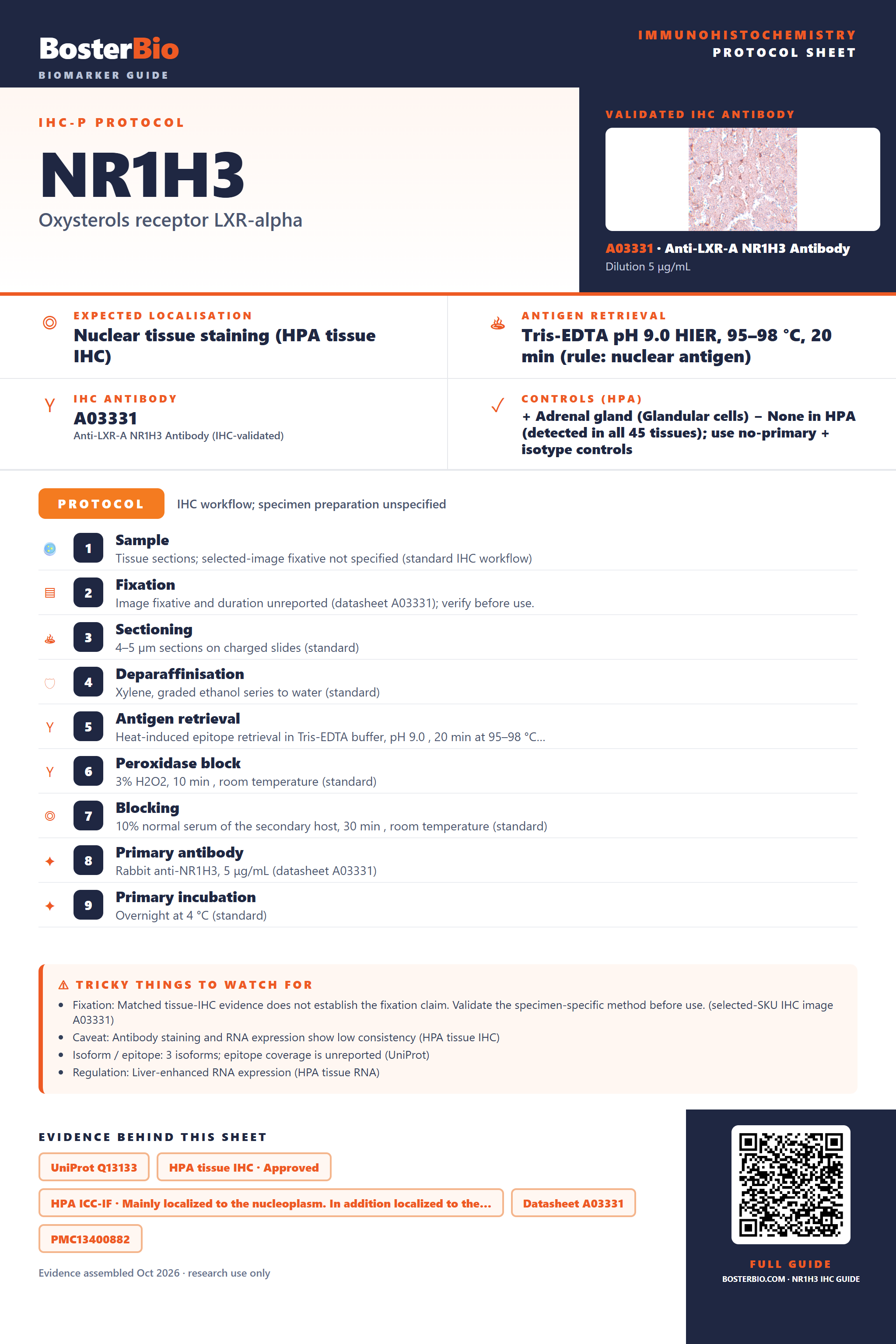 Immunohistochemistry protocol sheet for NR1H3 (IHC for NR1H3): expected localisation Nuclear tissue staining (HPA tissue IHC), antibody A03331, validated IHC image, and IHC protocol steps