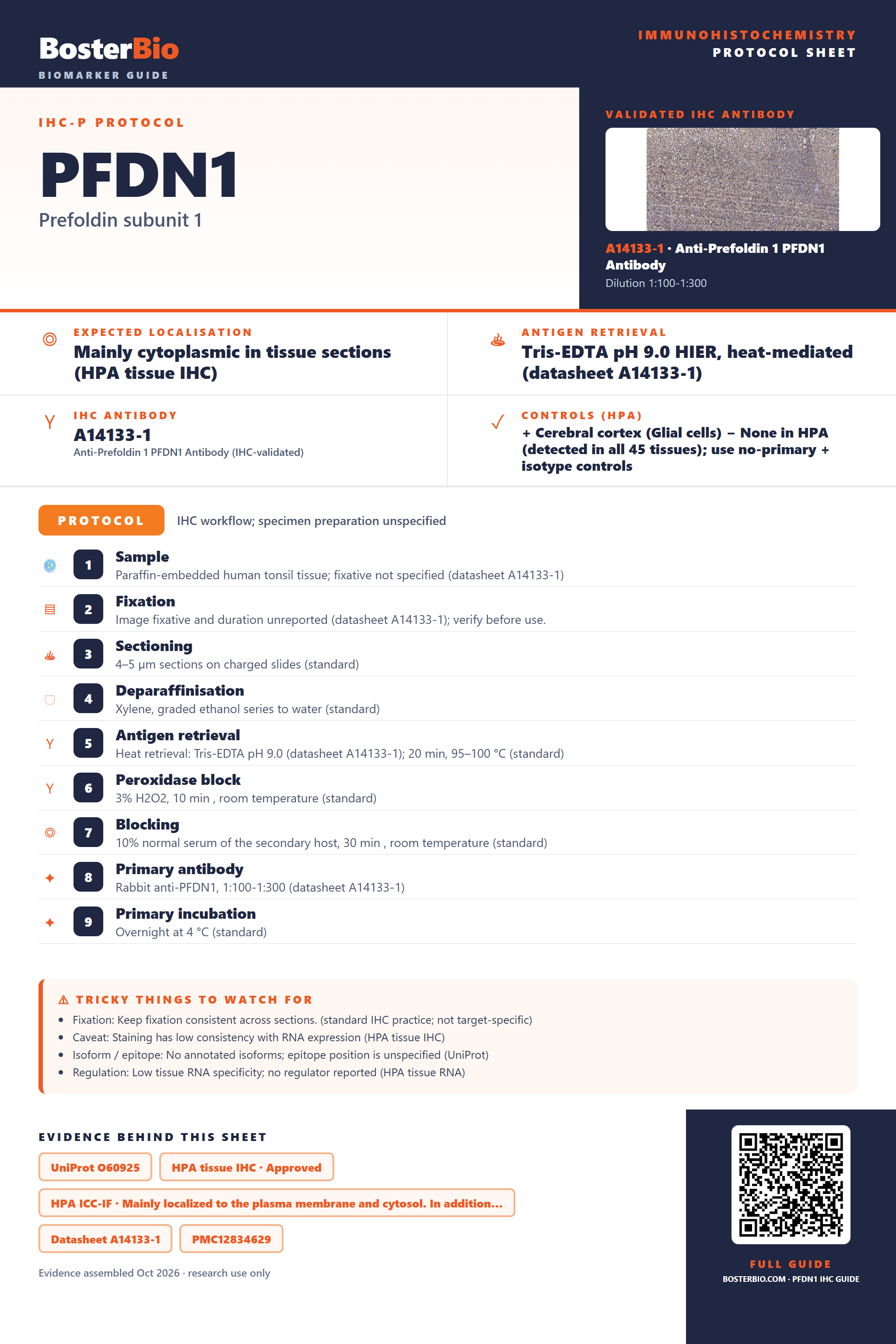 Immunohistochemistry protocol sheet for PFDN1 (IHC for PFDN1): expected localisation Mainly cytoplasmic in tissue sections (HPA tissue IHC), antibody A14133-1, validated IHC image, and IHC protocol steps