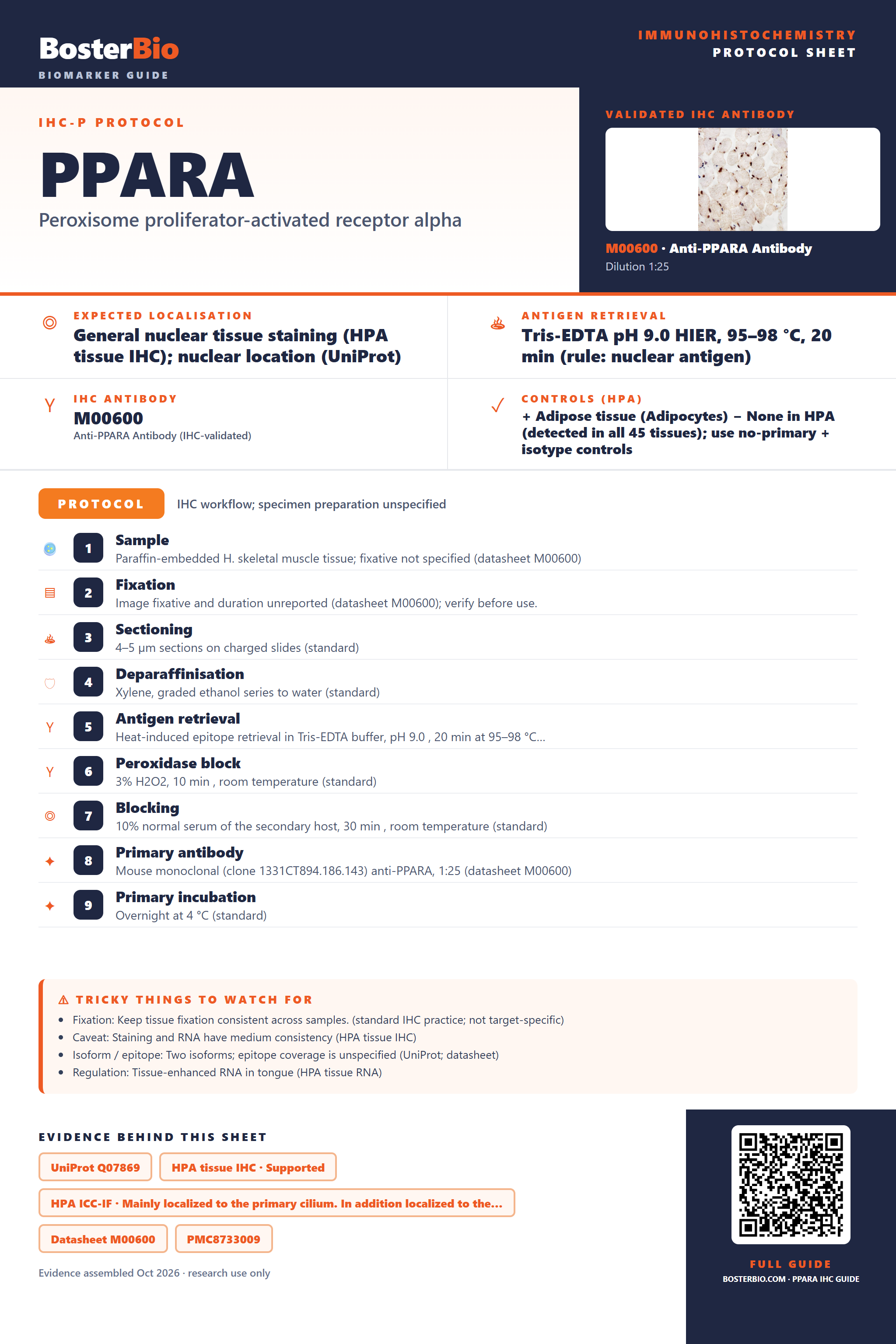 Immunohistochemistry protocol sheet for PPARA (IHC for PPARA): expected localisation General nuclear tissue staining (HPA tissue IHC); nuclear location (UniProt), antibody M00600, validated IHC image, and IHC protocol steps